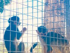 -水上乐园·欢乐世界