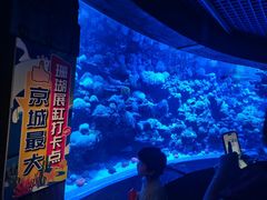 -太平洋海底世界