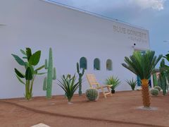 -Blue Concept Cafe&Farm·關於藍