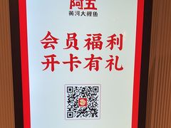 -阿五黄河大鲤鱼(英协路店)