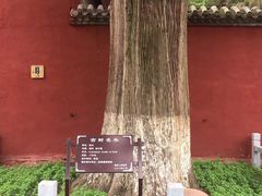 -武侯墓风景区