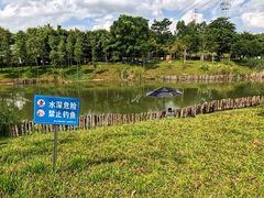 -王借岗森林公园
