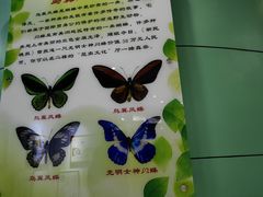 -上海昆虫博物馆