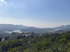 -大姆山草场