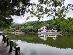 -深圳仙湖植物园