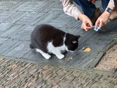 -西园寺素食(西园弄戒幢律寺店)