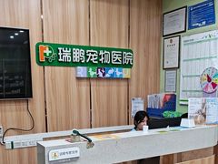 -瑞鹏宠物医院·夜间急症·心超·猫科(祖庙分店)