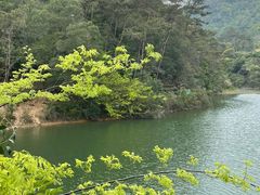-秦岭天竺山景区