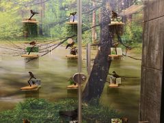 -下渚湖国家湿地公园科普馆