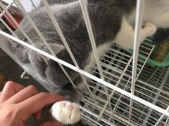 -万商花鸟市场