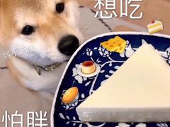 -鱼酷活鱼烤鱼(恒隆广场店)