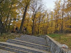 -阳台山自然风景区