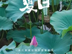 -颐和园