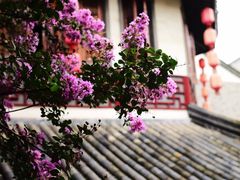 -龙潭水乡