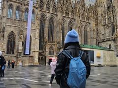 -斯蒂芬主教座堂(Stephansdom)