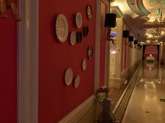 -轩 SUPER LIVE 超级现场(农科路店)