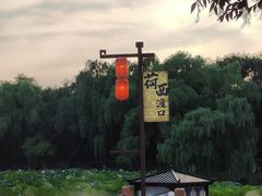 -北陵公园