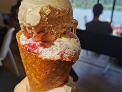 -Patagonia Chocolates(皇后镇店)