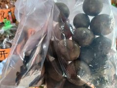 -南沙十九涌渔人码头-南门