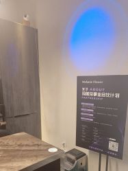 点击看大图 -玛莲朵·海菲秀冰珀科