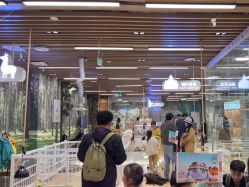 -小象动悟公园(龙湖亦庄天街店)