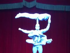 -珠海横琴长隆《卡卡虎奇遇记》