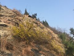 景点-沂山风景区