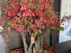 -鑫悦诚府·新鲁菜·餐厅(趵突泉店)