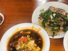 -龙翔山庄雷鸡肉(青城后山泰安古镇店)