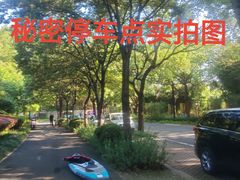 -新江湾城公园