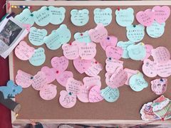 -猫咪咖啡店(新城大街店)