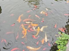 -梅园