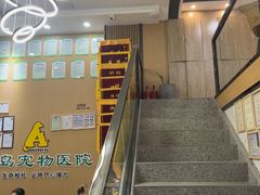 -半岛宠物医院24小时·内窥镜·牙科·碎石中心(府城大道店)