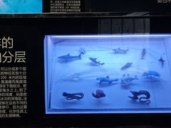 -同济大学四平路校区深海探索馆