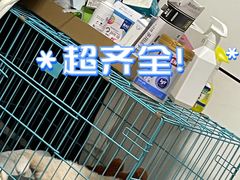 -翊宠yipet猫狗购宠庄园犬舍•猫舍