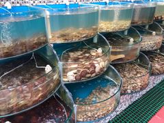 水产区-仙螺岛海鲜自助餐厅(总店)