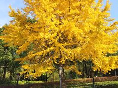 -苏州河梦清园环保主题公园