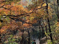 -阳台山自然风景区