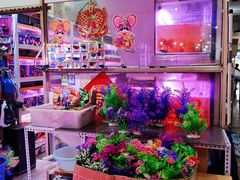 -宝鸡东道花鸟鱼虫市场(吉利花园商场店)