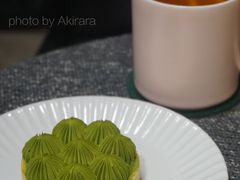 抹茶挞-猫里有甜