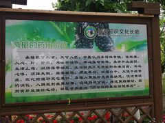 -御林古桑园