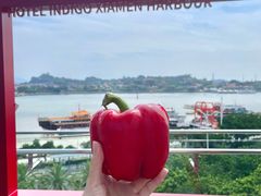 -厦门海港英迪格酒店(中山路店)