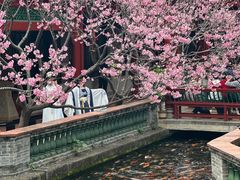 -宝墨园景区