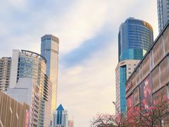 -茂业天地(华强北店)