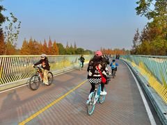 -白鹭湾湿地公园