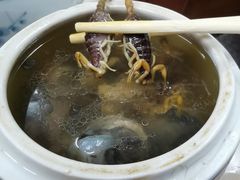 蝎子党参乌鸡汤-国英炖品店(甲子路店)