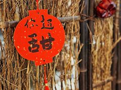 -成川茶店·潮汕工夫浓茶(万象店)