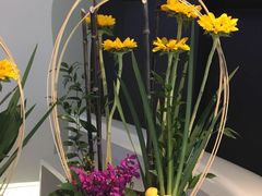 -FEI FEI FLOWER鲜花店·气球派对·宝宝宴布置(虹口德必运动Loft店)