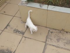 -维也纳酒店(深圳大学城店)