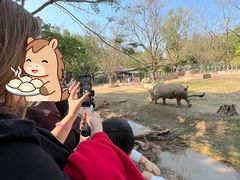 -深圳野生动物园